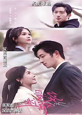 �˰�����