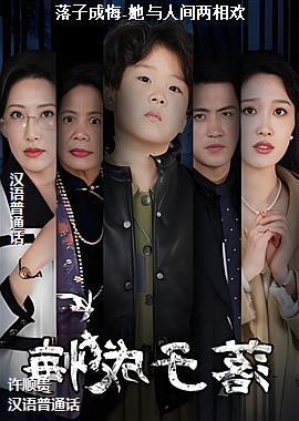 ���ӳɻ�-�����˼����໶