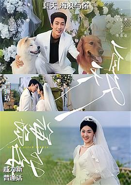 ����,��������