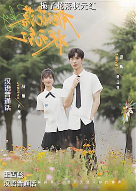 ���ӻ���״Ԫ��