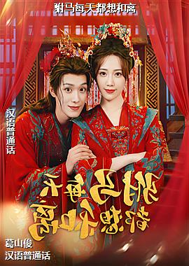 ����ÿ�춼�����