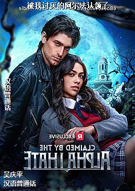 ��������İ�����������