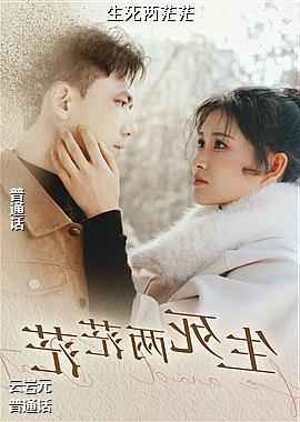 ������ãã