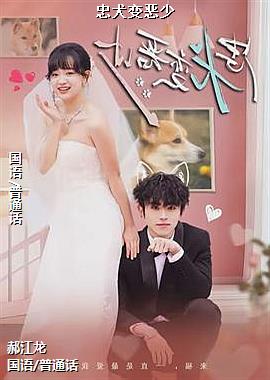 ��Ȯ�����